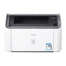 佳能（Canon） LBP 2900